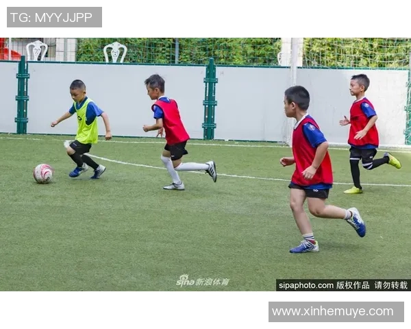 网球新手必看：从基础意识到实战技巧的全面入门指南