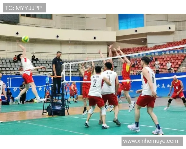南京排球队配合变革引发热议新战术助力团队协作提升