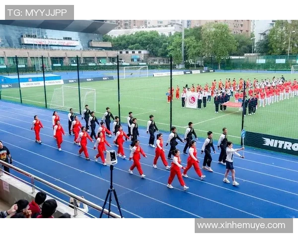 杭州排球队的精神风貌与团队意识探讨:排球运动中的团结与拼搏精神 杭州排球队的精神风貌与团队意识探讨:排球运动中的团结与拼搏精神