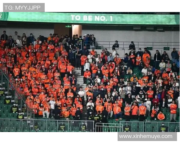 西安排球队战术引发热议球迷与专家观点大相径庭