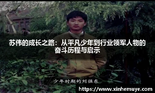 苏伟的成长之路：从平凡少年到行业领军人物的奋斗历程与启示