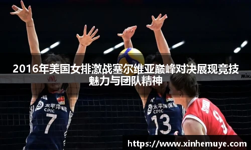 必一运动B-Sports